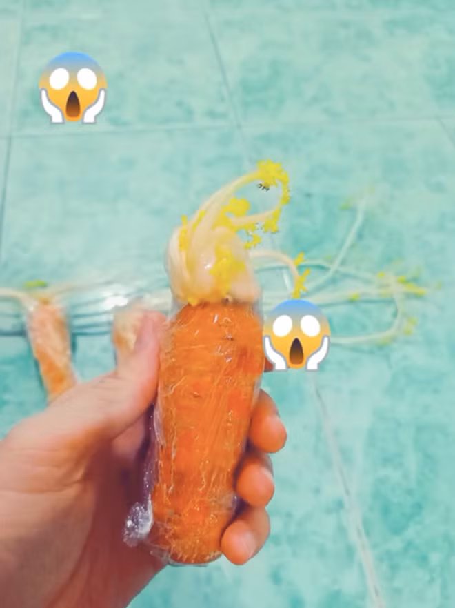 Tủ lạnh trông vẫn sạch sẽ. Tuy nhiên các loại rau củ trong tủ đã nảy mầm hết.