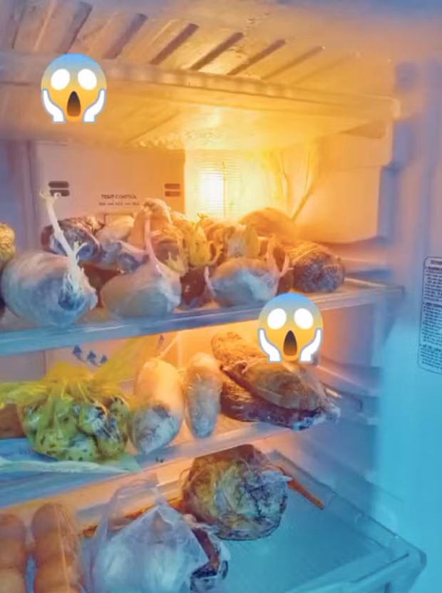 Cụ thể, cô gái này kể như nhiều người khác mình cũng về quê tránh dịch được 3 tháng và cũng quên không lấy đồ trong tủ lạnh nên còn khá nhiều loại thực phẩm. Khi lên lại được nhà trọ sau giãn cách xã hội thì hỡi ơi! tức tốc kiểm tra và đây là cái kết.