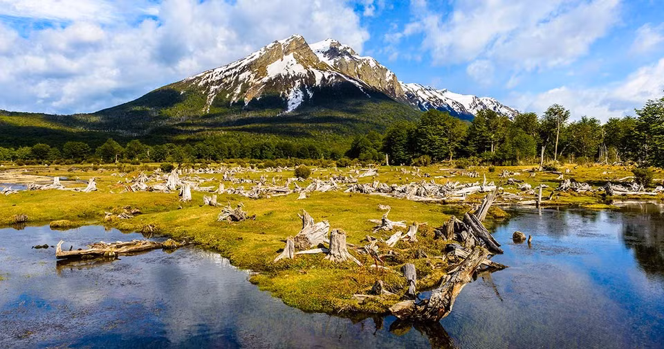 Vườn quốc gia Tierra del Fuego nằm trên lãnh thổ Argentina của đảo đất lửa. Khu bảo tồn thiên nhiên này được thành lập vào thập niên 1960, là nơi sinh sống của nhiều loài động vật bản địa quý hiếm, bao gồm lạc đà guanaco, thần ưng Andes (kền kền khoang cổ), cáo đỏ... Đến vườn quốc gia Tierra del Fuego, du khách được chiêm ngưỡng những ngọn núi phủ tuyết trắng, hồ băng lấp lánh, khu rừng xanh tươi và thung lũng lộng gió tạo nên bữa tiệc thị giác đáng để thẩm thấu từng hương vị một cách trọn vẹn. 