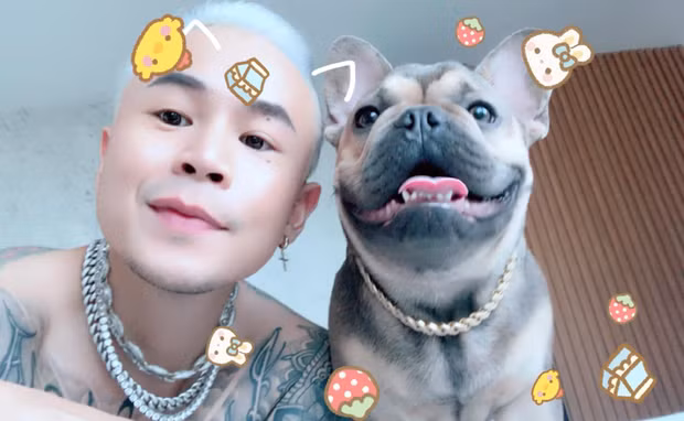 Có thể dễ dàng nhận ra đây là chú cún cưng được Binz chia sẻ hình ảnh liên tục trên mạng xã hội. Nam rapper thậm chí cho chú Bull Pháp này đi chung trong những chuyến du lịch của mình.