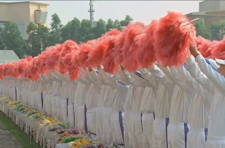 Hành động rất nhịp nhàng và đều.