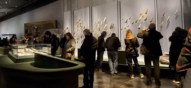 Neil Wilkin, người phụ trách triển lãm "Thế giới Stonehenge" tại Bảo tàng Anh chia sẻ: "Có một cái gì đó bảo vệ ngôi mộ này. Điều đó gần giống như họ đang bảo vệ đứa trẻ nhỏ dễ bị tổn thương. Có một điều gì đó rất thu hút về họ. Không ai biết điều gì đã xảy ra với gia đình hay nhóm gia đình này. Nhưng đây là một cảnh tượng đau lòng. Mọi thứ trong ngôi mộ đã kể cho tôi về một khoảnh khắc xúc động".