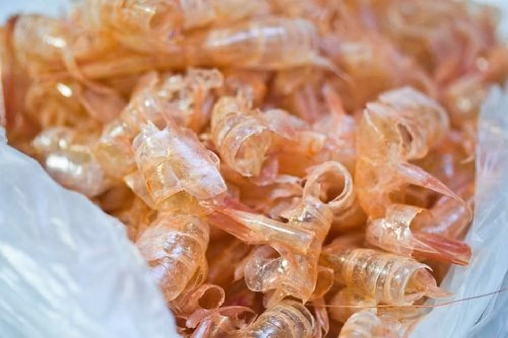 Chitosan là polyme phân hủy sinh học đầy triển vọng, nên đã được lựa chọn sử dụng trong bao bì dược phẩm do nó có tính chất chống vi trùng, kháng khuẩn và tương thích sinh học.