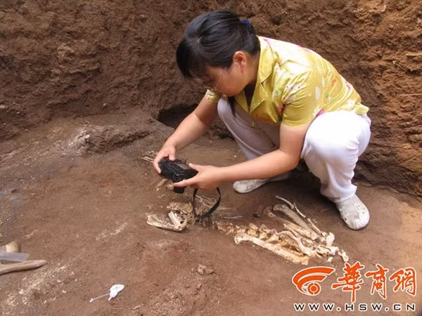 Các chuyên gia đặt tên cho loài vượn này là Junzi imperialis để thuận tiện cho việc nghiên cứu.