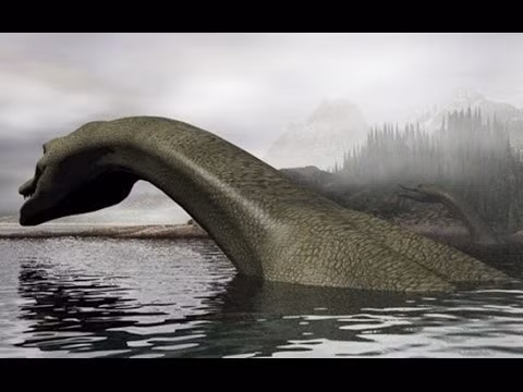 Tuy nhiên, nhiều người vẫn chưa bỏ cuộc và hàng năm, người ta vẫn mục kích hồ Loch Ness để mong một lần nữa được nhìn thấy con vật huyền thoại này.