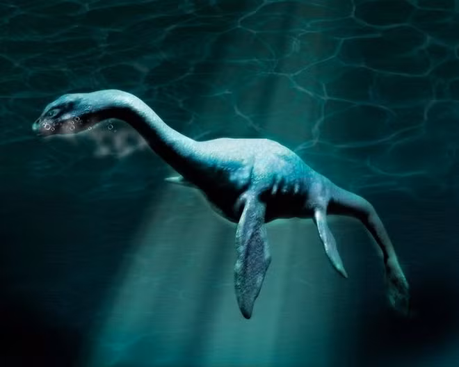 Nessie tin rằng đó là một vị trí mà đáy hồ dốc xuống, với mực nước sâu khoảng 450 feet trong khu vực.