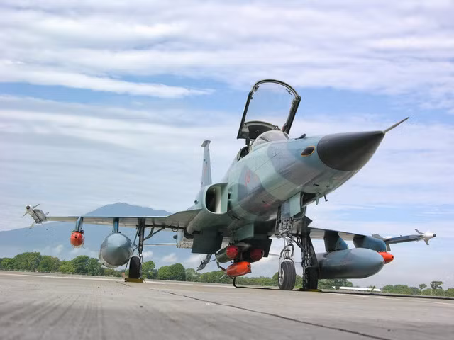 Elbit đã có kinh nghiệm trong giúp lực lượng không quân của nhiều quốc gia nâng cấp các máy bay chiến đấu cũ, từ MiG-21 của Nga đến F-5 của Mỹ. Giờ đây Elbit muốn nâng cấp số MiG-29 hiện có trong biên chế một số nước Đông Âu. Nhiều khả năng, trong tương lai họ sẽ nâng cấp cả chiến đấu cơ hạng nặng Su-27. Ảnh: Máy bay chiến đấu F-5 của Không quân Indonesia mà Elbit tham gia nâng cấp - Nguồn: Elbitsystems