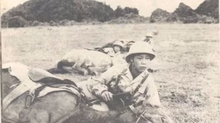 Công an nhân dân vũ trang Việt Nam (nay là Bộ đội biên phòng) cũng đã từng được Liên Xô viện trợ một đàn ngựa, đây là lực lượng kỵ binh chính thức đầu tiên của nước Việt Nam hiện đại. Ảnh: Chiến sĩ Công an vũ trang tập luyện ẩn nấp với ngựa.