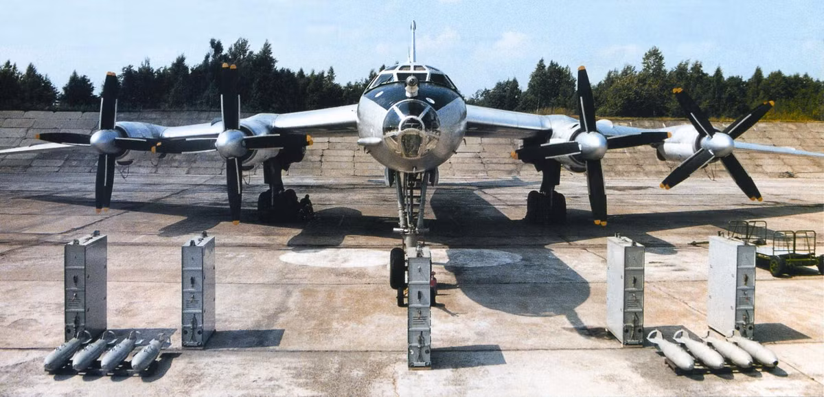 Theo tham số của nhà sản xuất, Tu-142 có thể mang các loại ngư lôi chống ngầm 400mm AT-1/1M, AT-2/2M, UMGT-1; bom chống ngầm PLAB-50, PLAB-250; thủy lôi RM-1/2 và UDM. Ngoài ra, nó còn phải mang các hệ thống phao thủy âm để tìm kiếm tàu ngầm.