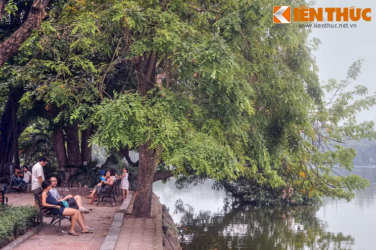 Dưới khung cảnh thơ mộng của những tán cây trùm lên mặt nước, nhiều câu tỏ tình đã được cất lên từ những trái tim rạo rực nhiệt huyết của tuổi trẻ.