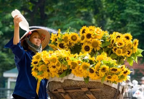 Du bao thoi tiet 3 ngay Tong thong My Obama tham Viet Nam