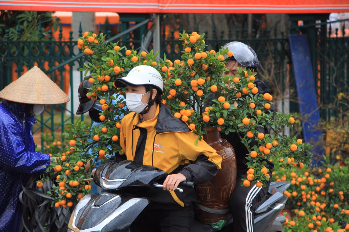 Mưa rét cũng không cản được chở quất Tết về nhà của đôi bạn trẻ.