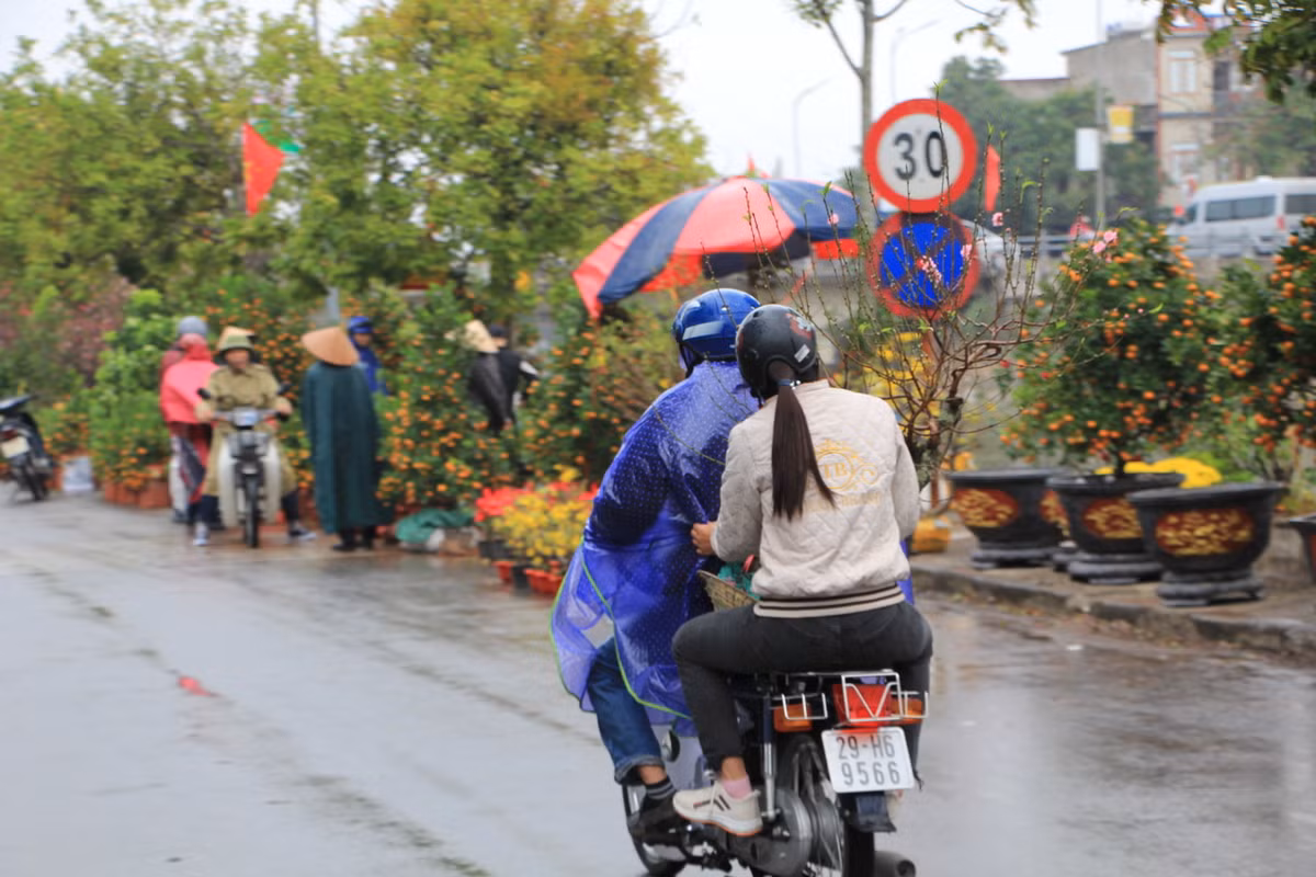 Cành đào Tết trên đường về nhà của gia đình trẻ ở vùng nông thôn Nam Định.