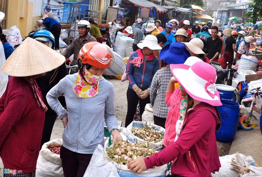 Người dân Lý Sơn cho biết vào mùa cao điểm du lịch giữa năm, tỏi loại thường giao động quanh mức 120.000 đồng/kg, tỏi cô đơn đến 1,2 triệu đồng mỗi kg.