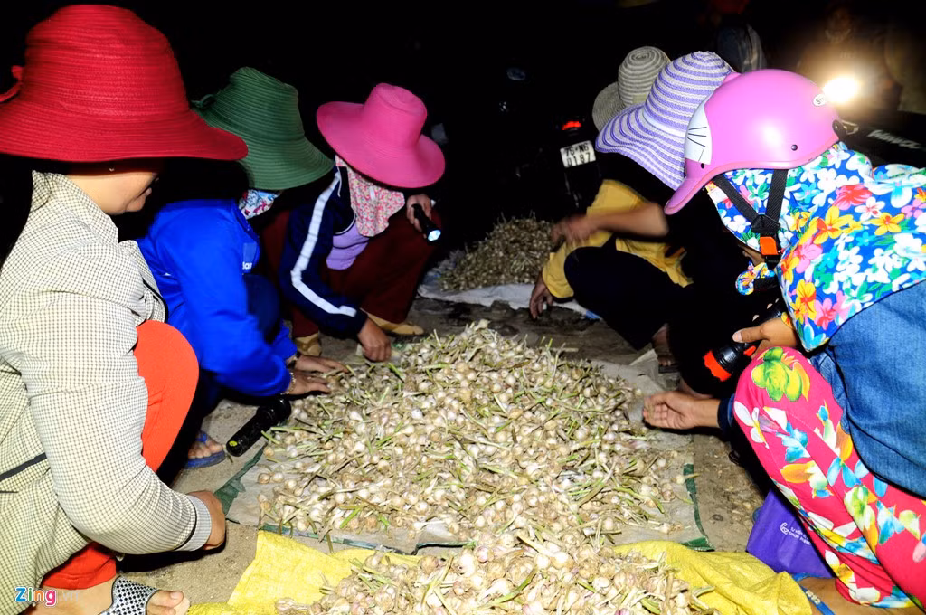 Vào mùa thu hoạch, phiên chợ tỏi ở huyện đảo đông đúc, rộn ràng diễn ra từ lúc 4h sáng.