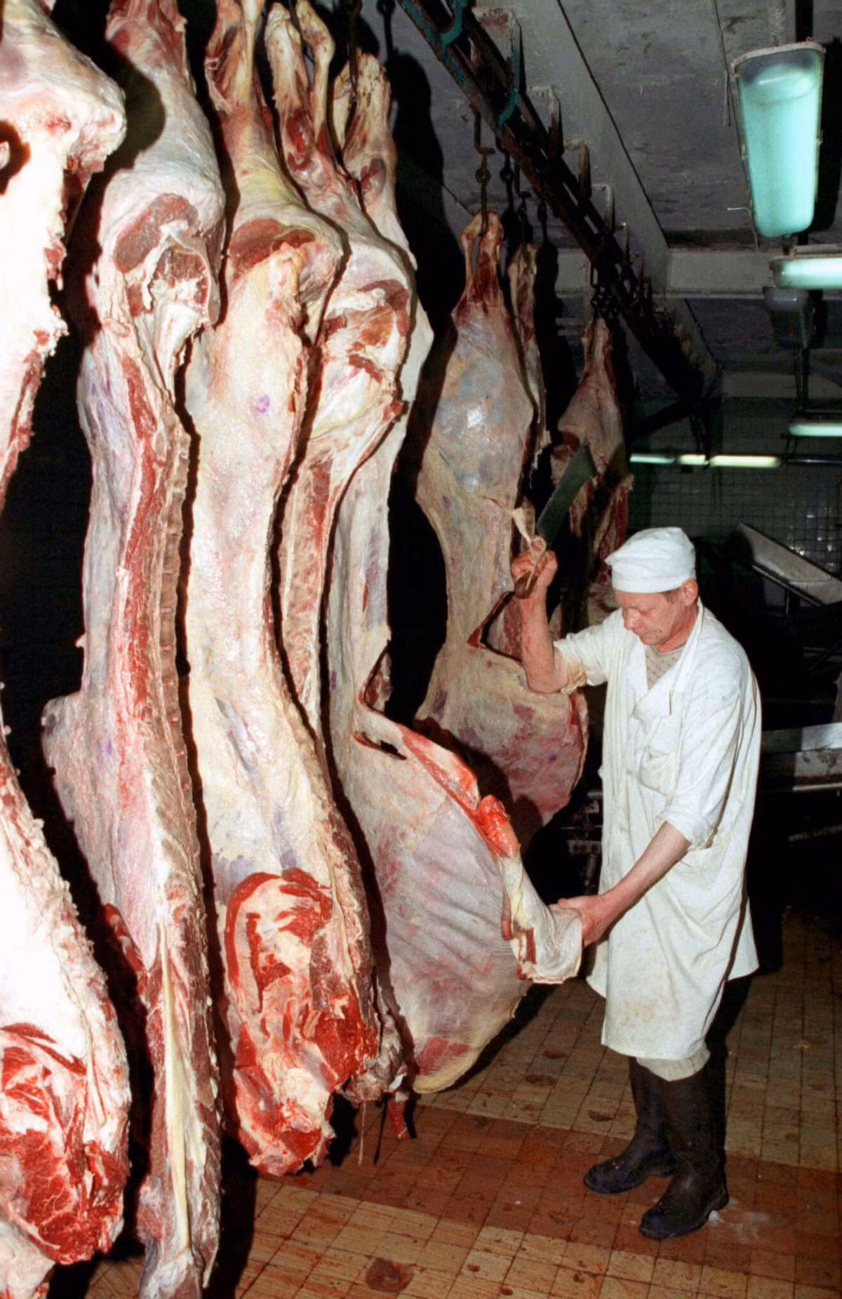 Bên trong một nhà máy chế biến và đóng gói thịt bò ở Moscow năm 1996.