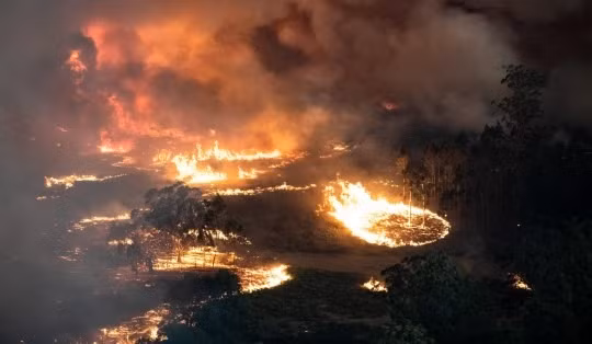 Trước vụ cháy rừng nghiêm trọng ở bang California (Mỹ), một số nước trên thế giới từng xảy ra sự việc tương tự và đối mặt với những thiệt hại to lớn. Trong số này, vụ cháy rừng ở Australia kể từ tháng 8/2019 đến đầu năm 2020 được xem là thảm họa, không khác gì ngày tận thế.