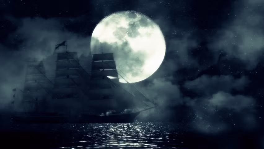 Những câu chuyện ly kỳ và rùng rợn về tàu "ma" SS Valencia thu hút sự quan tâm của những người hiếu kỳ. Do vậy, một số người hy vọng sẽ sớm tìm được con tàu "ma" hàng trăm tuổi.