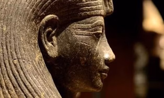 Theo đó, bà hoàng Merneith nắm quyền "cầm cân nảy mực" ở Ai Cập cho đến khi pharaoh Den trưởng thành và có khả năng trị vì đất nước.
