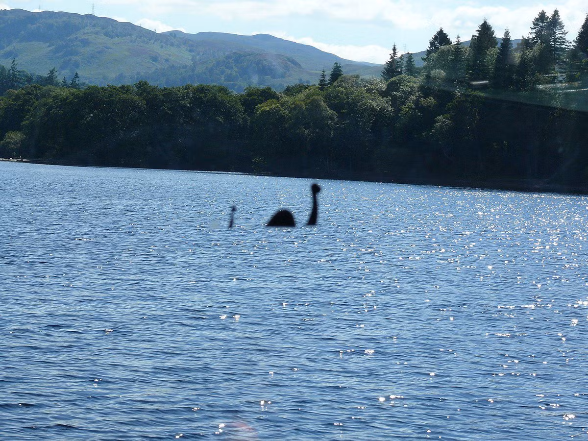 Từ đó đến nay, thỉnh thoảng các nhân chứng nhìn thấy và chụp ảnh quái vật hồ Loch Ness nhô một phần cơ thể lên trên mặt hồ nước.