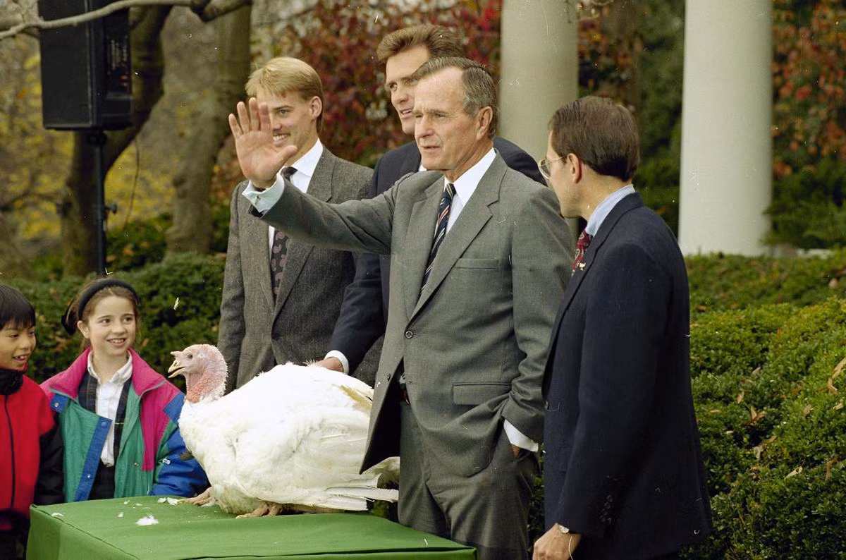 Phải tới năm 1989, Tổng thống George H.W. Bush tuyên bố con gà tây năm đó đã được “tổng thống xá tội”. Lúc này, buổi lễ trở thành một sự kiện chính thức của Tổng thống Mỹ.