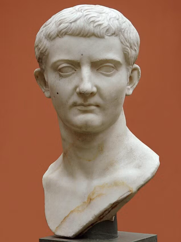 Từ đây, các chuyên gia cho hay bạo chúa Caligula có một vườn thú thu nhỏ gồm nhiều loài động vật khác nhau.