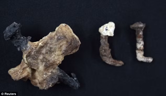 Chính vì vậy, một số người đưa ra giả thuyết 2 chiếc đinh đó được dùng để đóng Chúa Jesus lên thánh giá và tìm các bằng chứng để chứng minh.