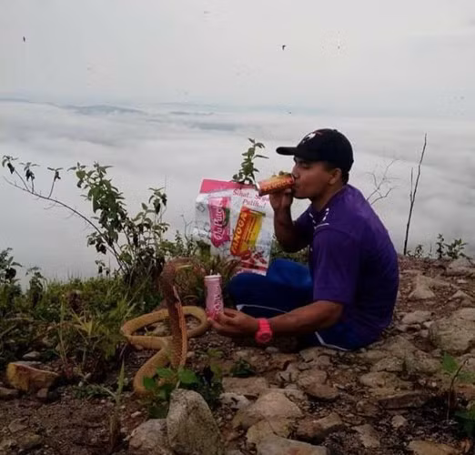 Trên thực tế, anh Abu Zarin Hussin trước đây đã bị nhầm lẫn là một người đàn ông Thái Lan lấy rắn hổ mang làm vợ vì cho rằng con rắn là hiện thân của người bạn gái quá cố. (Nguồn Sina)