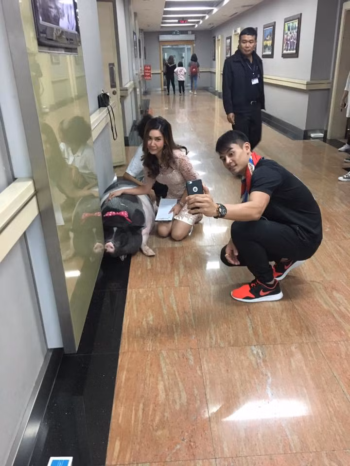 Sau khi những bức ảnh ôm lợn ngủ, anh Pattanadol trở nên nổi tiếng bất ngớ, nhận được sự săn đón của những hãng truyền thông địa phương, thậm chí "mối tình" kỳ lạ của anh và cô lợn cưng còn được lên cả truyền hình. (Nguồn Sina)