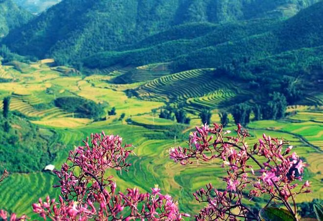 Điện Biên là tỉnh miền núi ở vùng Tây Bắc nước ta. Điện Biên giáp tỉnh Sơn La về phía Đông và Đông Bắc, giáp tỉnh Lai Châu về phía Bắc, giáp tỉnh Vân Nam của Trung Quốc về phía Tây Bắc và giáp nước bạn Lào về phía Tây và Tây Nam. A Pa Chải ở Điện Biên là ngã ba biên giới Việt Nam, Lào và Trung Quốc, thuộc xã Sín Thầu, huyện Mường Nhé, tỉnh Điện Biên.