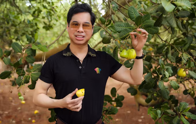 Khu vườn mà Ngọc Sơn được tặng không chỉ có đủ loại cây ăn trái, rau củ quả sạch mà nam ca sĩ còn nuôi bò, gà và thả cá. "Ông hoàng nhạc sến" cho biết, anh phải thuê người trông coi và chăm sóc vì diện tích khu vườn quá lớn.