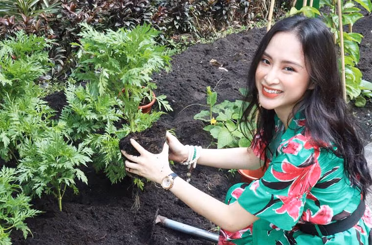 Vẻ đẹp dung dị của Angela Phương Trinh nhận được lời khen của rất nhiều fan.
