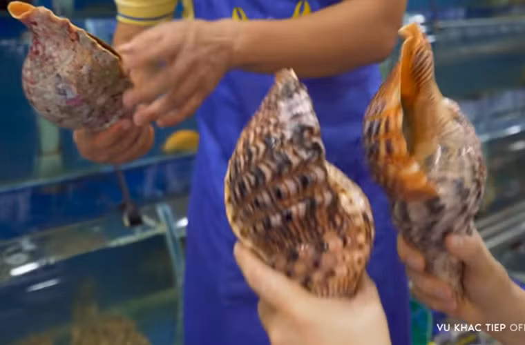 Ông trùm chân dài chọn hai con ốc hoàng hậu to nhất cửa hàng.