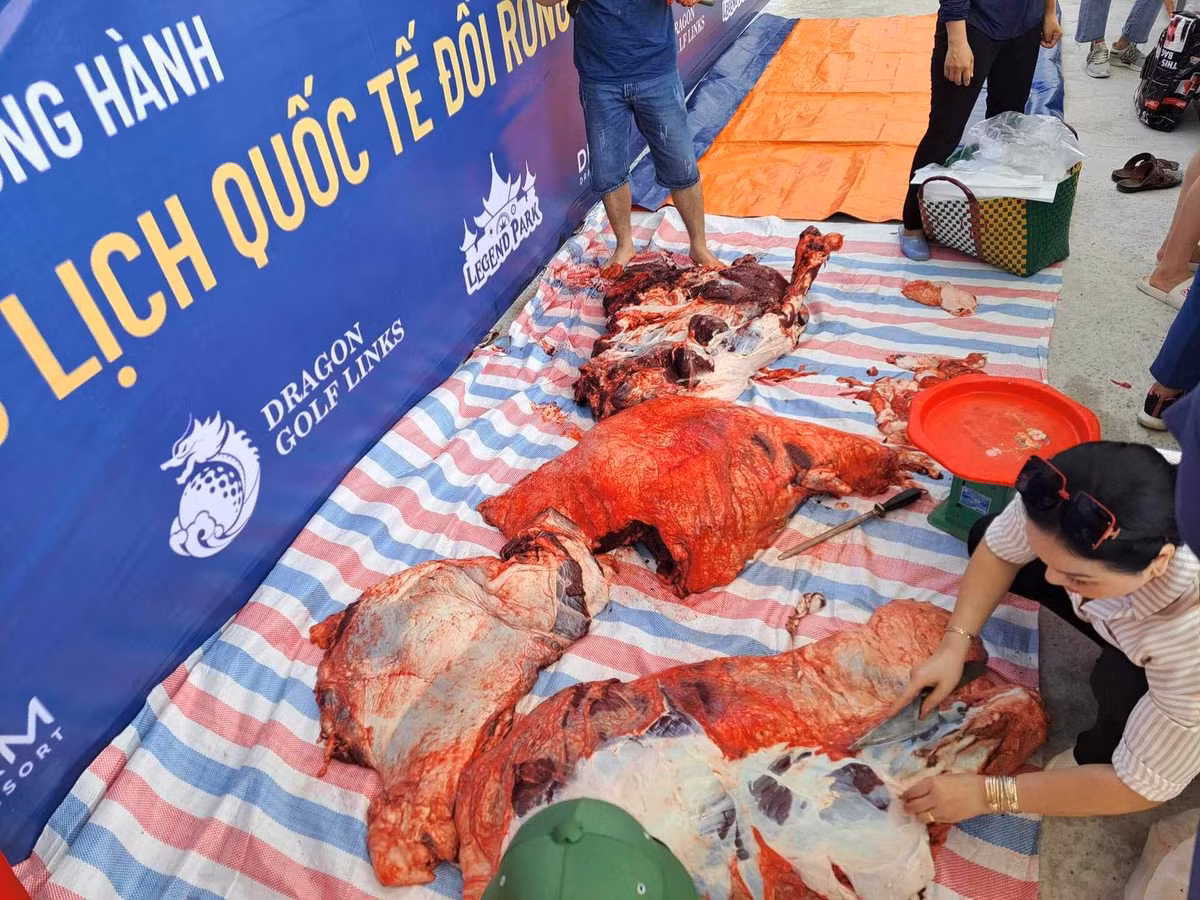 3 trieu /kg thit trau choi Do Son, khach van nuom nuop mua-Hinh-5