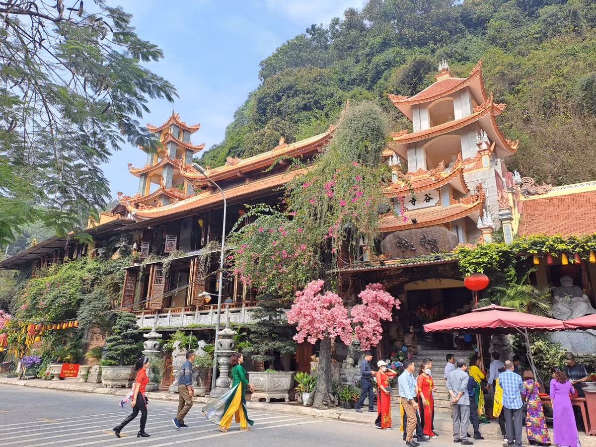 Chùa Hang Đồ Sơn có tên chữ là Cốc Tự, xưa thuộc địa bàn Vạn Tác, xã Đồ Sơn, huyện Nghi Dương, phủ Kinh Môn, đạo Hải Dương, nay là khu 1, phường Vạn Sơn, quận Đồ Sơn, TP Hải Phòng.