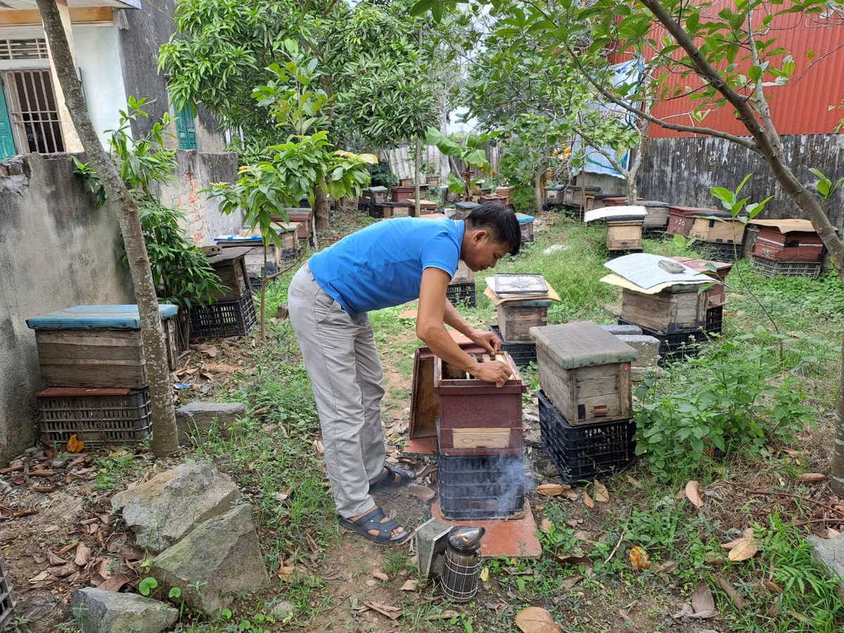 Mật ong của HTX rất được ưa chuộng tại các thị trường như Hải Phòng, Quảng Ninh, Hà Nội, Thanh Hóa, Nghệ An...