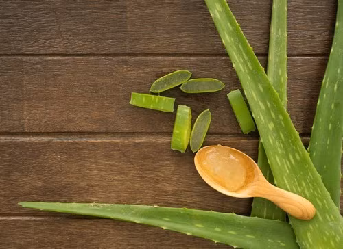 Hồi xuân làn môi thâm với các loại nguyên liệu làm đẹp tự nhiên - Hình 4 Hoi xuan lan moi tham voi cac loai nguyen lieu lam dep tu nhien-Hinh-4