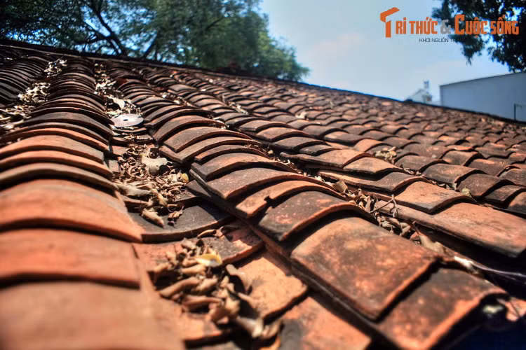 Sau nhiều thăng trầm lịch sử cùng những thay đổi về địa giới hành chính, quận Gò Vấp có ranh giới như hiện tại từ năm 2006. Một số địa danh nổi tiếng ở quận này là đình Thông Tây Hội, nhà thờ Hạnh Thông Tây, miếu Phù Châu...