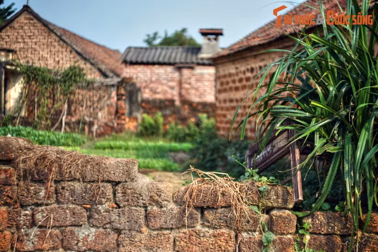 Nằm ở thị xã Sơn Tây, thành phố Hà Nội, làng cổ Đường Lâm là ngôi làng cổ nổi tiếng bậc nhất Việt Nam. Góp phần làm nên giá trị đặc biệt cho diện mạo cảnh quan của ngôi làng này là một loại vật liệu xây dựng đặc biệt: Những viên gạch đá ong.