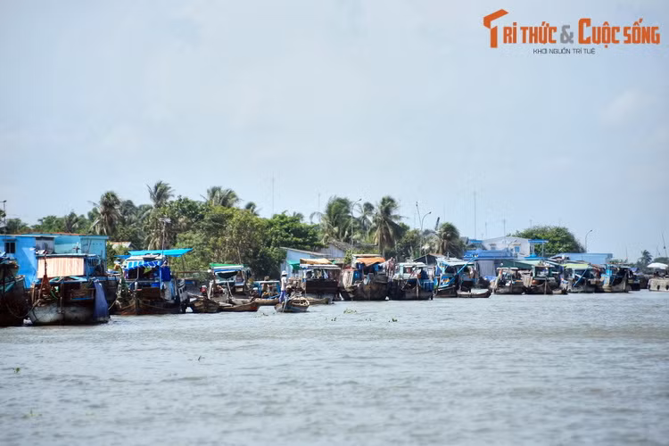 Quang cảnh tại chợ nổi Cái Bè, một trong các khu chợ nổi có quy mô lớn nhất miền Tây Nam Bộ. Chợ họp ở đoạn sông Tiền Giang giáp gianh giữa ba tỉnh Tiền Giang, Vĩnh Long và Bến Tre.