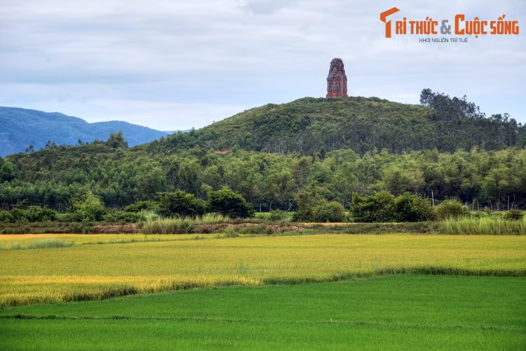 Tháp Chăm Phú Lốc có từ thế kỷ 12, nằm ở phường Nhơn Thành, thị xã An Nhơn.
