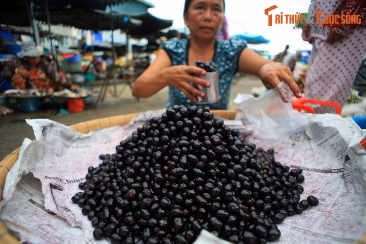 Trái trâm, còn gọi là trâm ba vỏ hay vôi rừng, tại một quầy hàng ở chợ Tịnh Biên, An Giang. Cây trâm (Syzygium cumini) cùng họ với cây sim, phân bố từ Nam Á đến Bắc Australia. Trái trâm có màu đen bóng khi chín, vị chua - ngọt và hơi chát, có một hạt cứng ở giữa.