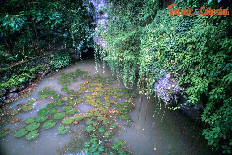 Cạnh phủ thờ có một hang động xuyên thủy, được gọi là hang Luồn. Hang động này xưa kia là thủy đạo dẫn vào khu nội thành Hoa Lư, cách đó 300 mét.