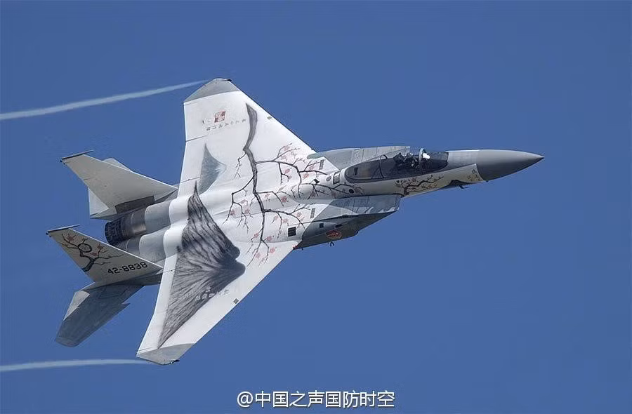  Tiêm kích F-15 của lực lượng Phòng vệ đường không Nhật Bản được vẽ hình hoa anh đào và núi Phú Sĩ, biểu tượng của xứ sở mặt trời mọc. Ảnh: CNR.