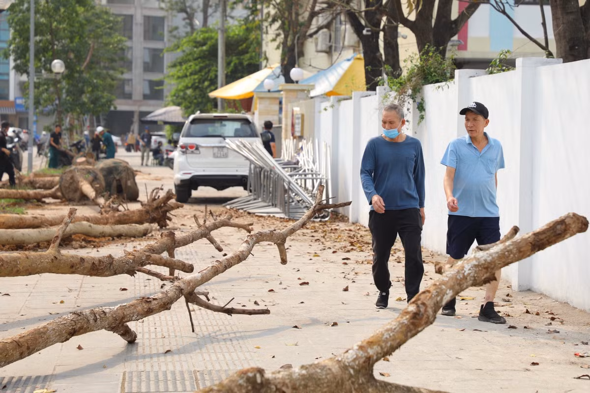 Ông Nguyễn Huy, người dân sống tại đường Huỳnh Thúc Kháng cho biết: “Cây mới trồng cần có lưới bao để tránh vỡ bầu đất là đúng nguyên tắc. Nhưng phải tháo lưới ra để cho cây phát triển, nếu bọc kín, rễ không thể xuyên thủng để bám vào đất, nguy cơ chết và đổ rất cao. Còn không thì phải là lưới tự huỷ. Nhưng theo tôi thấy lưới này không có khả năng tự huỷ”.