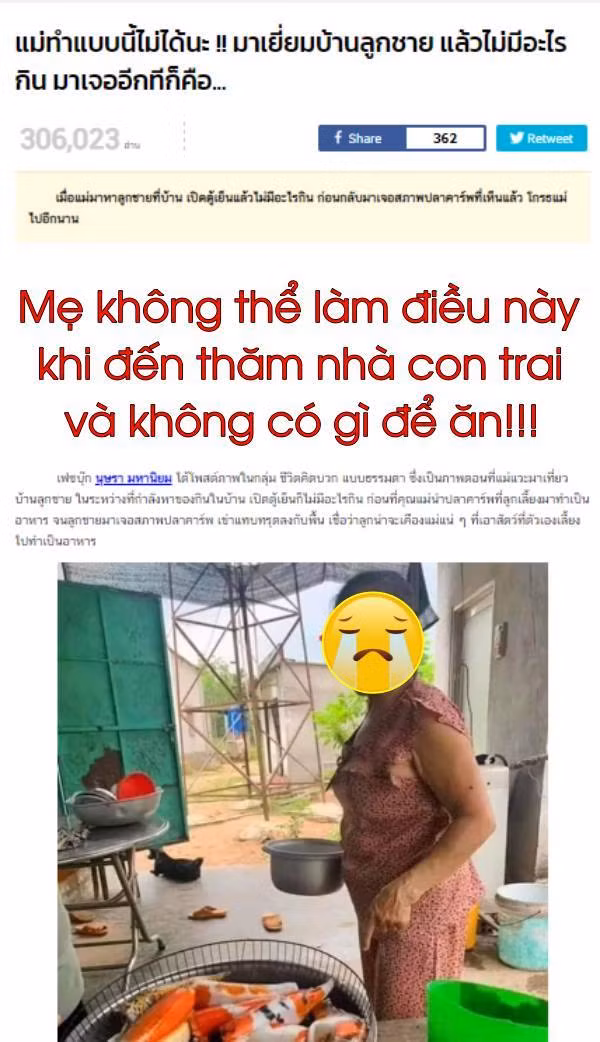 Câu chuyện về đàn cá Koi xấu số mới đây ở Thái Lan đã khiến người xem không khỏi xót xa cho chủ nhân của bể cá. Cụ thể, một bà mẹ đã sử dụng đàn cá đắt đỏ này để chiên lên chảo, thành bữa ăn cho cậu con trai của mình.