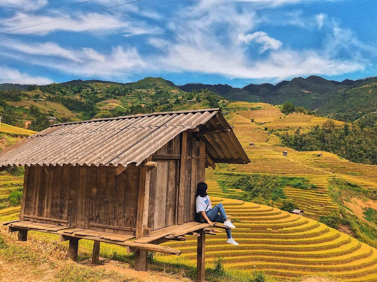 Đến với Hà Giang mùa lúa chín, du khách sẽ được chiêm ngưỡng toàn bộ vẻ đẹp của những cánh ruộng bậc thang nối sát nhau vô cùng đẹp mắt. Ảnh: Lại Tiến Mạnh