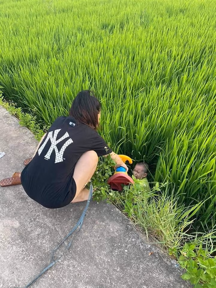 Hình ảnh một bé gái kéo em trai đi trên một chiếc xe lắc và bất ngờ ngã xuống ruộng cũng từng khiến netizen cười nghiêng ngả.