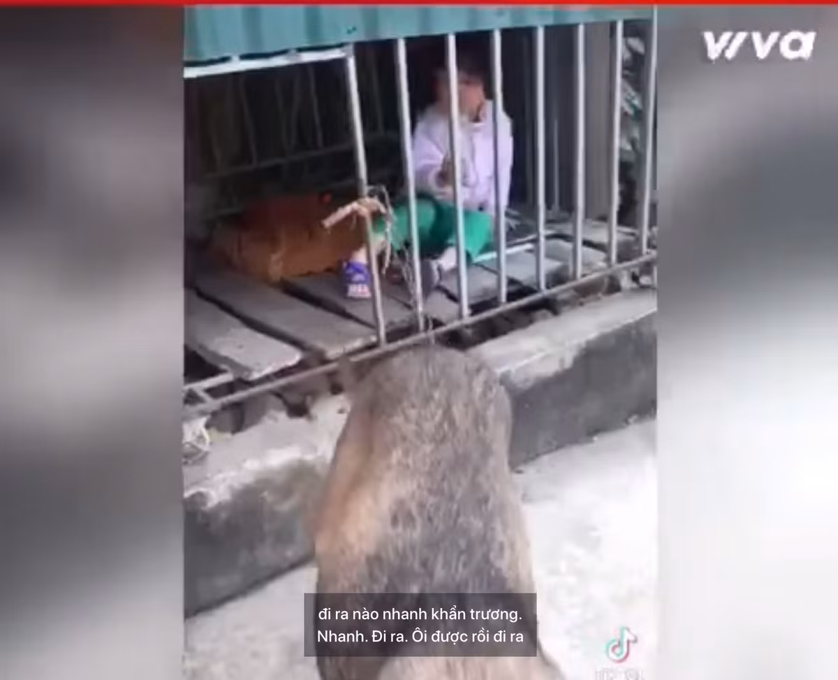 Màn chui vào chuồng chó đầy sự "cạn lời" của một bé gái nào đó.