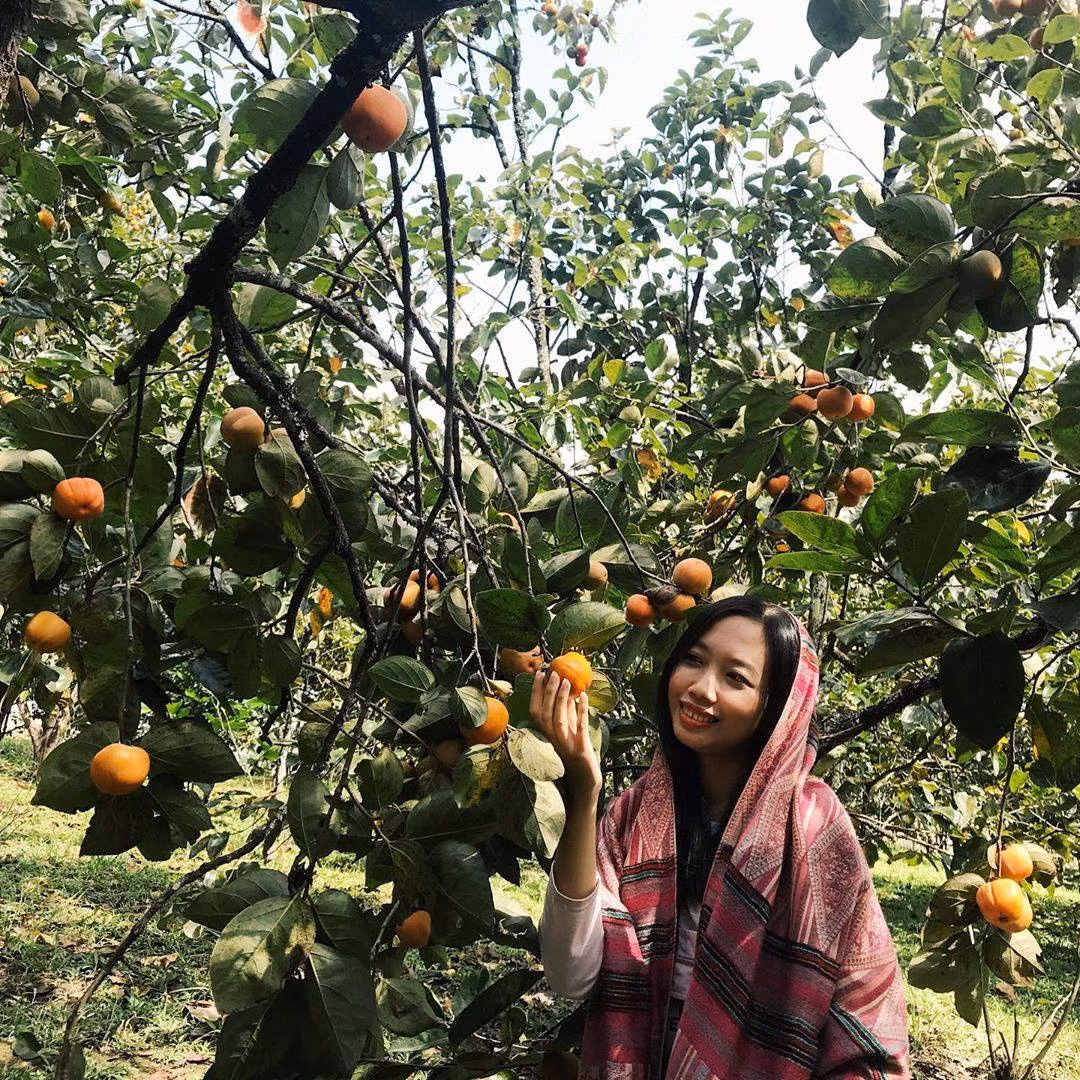 Chủ vườn hồng không xây dựng nhiều góc sống ảo nhân tạo, khiến bạn cảm giác như lạc giữa khu rừng cổ tích. Ảnh: Vườn hồng Thái Long